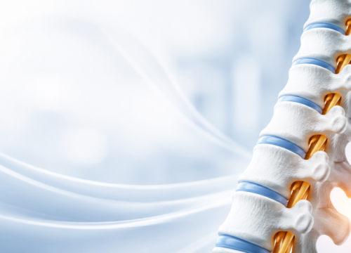 The Master Controller: How Your Nervous System Shapes Your Health | Lyonspine Chiropractic Ellijay GA